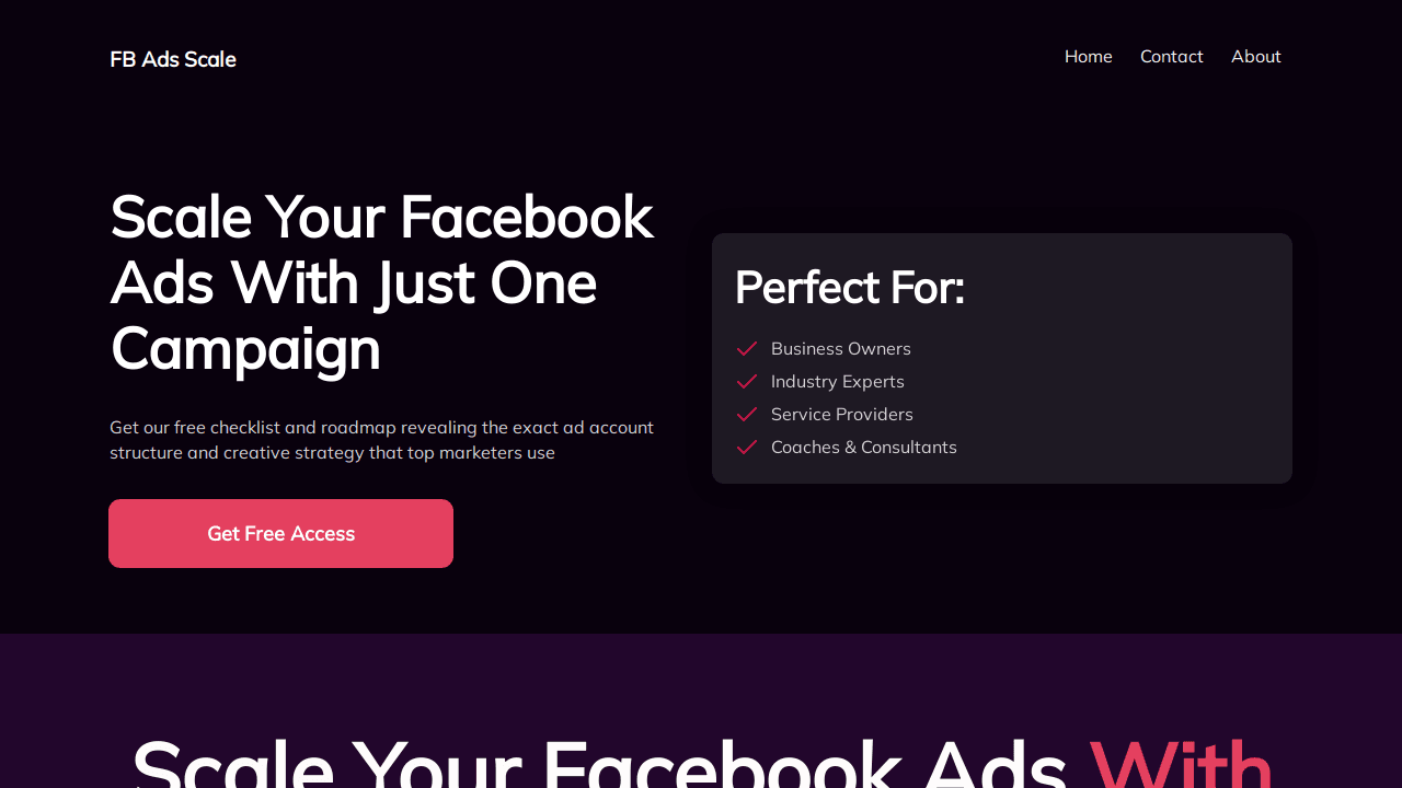 Lead Magnet Landing Page 