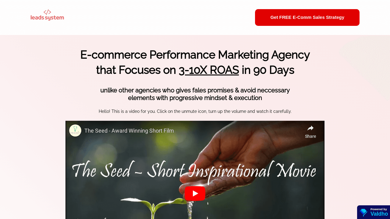 Performance Marketing Agency 